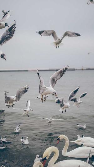 18MIC禁漫天堂入口截图3